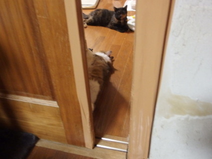 20150725home02.jpg