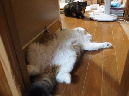 20150725home03.jpg