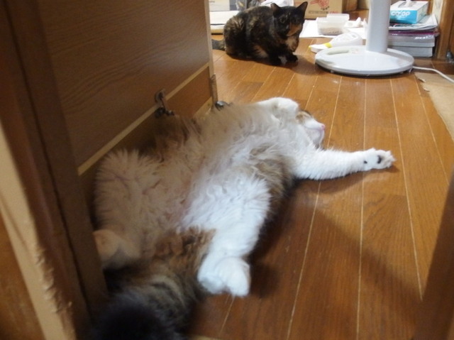 20150725home03.jpg