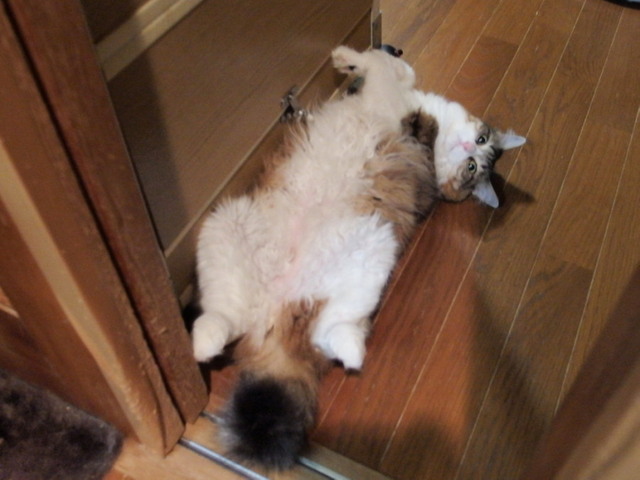 20150725home04.jpg