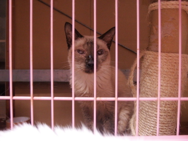 20150816milk01.jpg