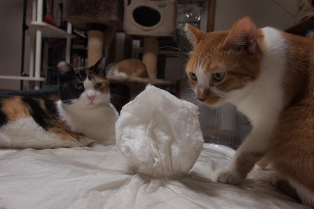 20150820home01.jpg