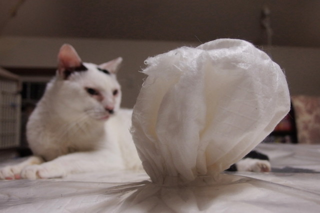 20150820home02.jpg