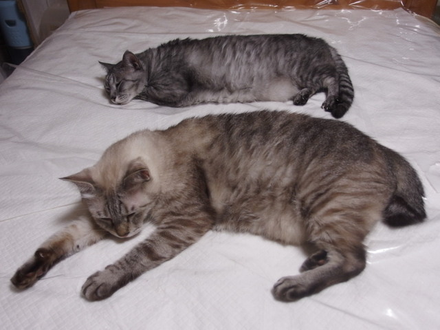 20150820home04.jpg