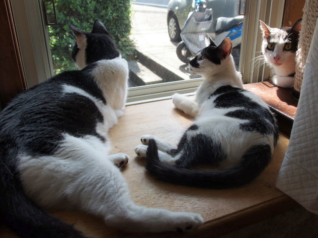 20150820home05.jpg