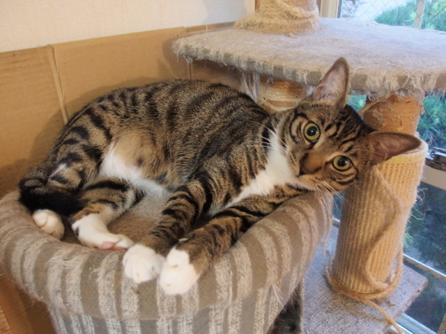 20150830kokoro02.jpg
