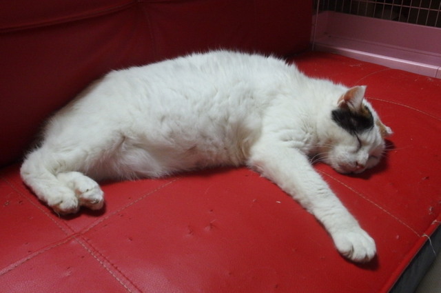 20150919oomike01.jpg