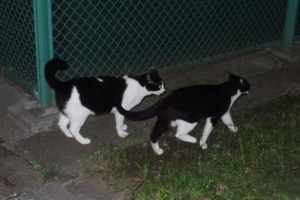 20150923park01.jpg