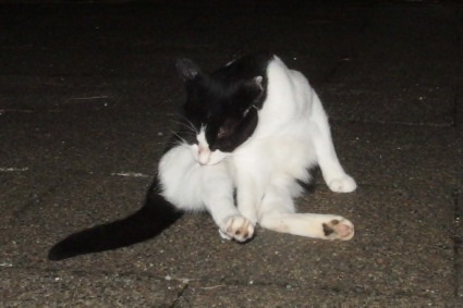 20150926park01.jpg