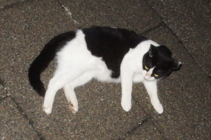 20150926park02.jpg