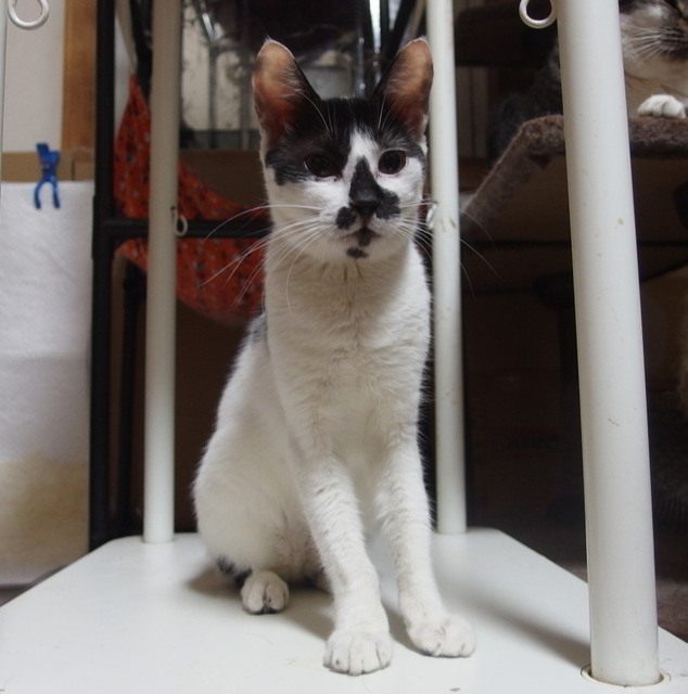 20151006sawa01.jpg