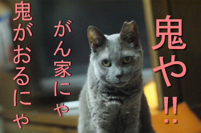 20151021ichi02.jpg