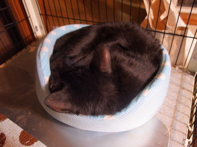 20151029kuu01.jpg