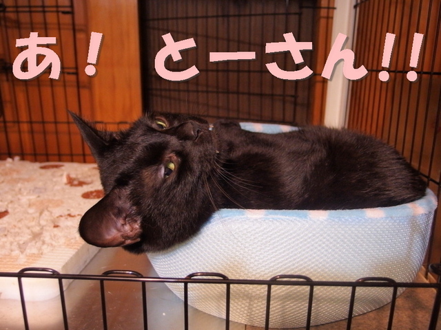 20151029kuu02.jpg