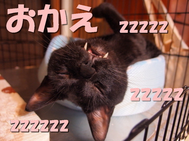20151029kuu03.jpg