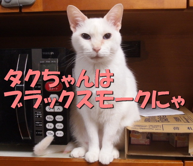 20151121yuki02.jpg