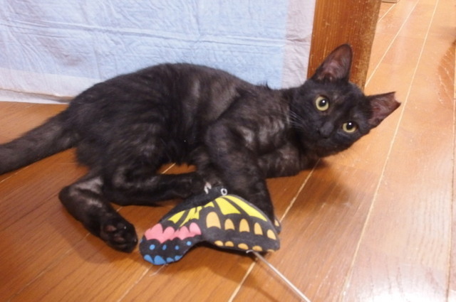 20151123taku01.jpg