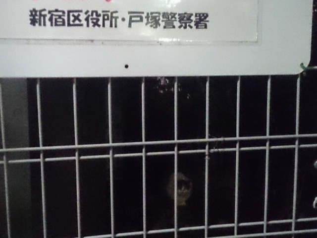 20151128baba01.jpg