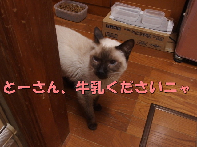 20151130milk03.jpg