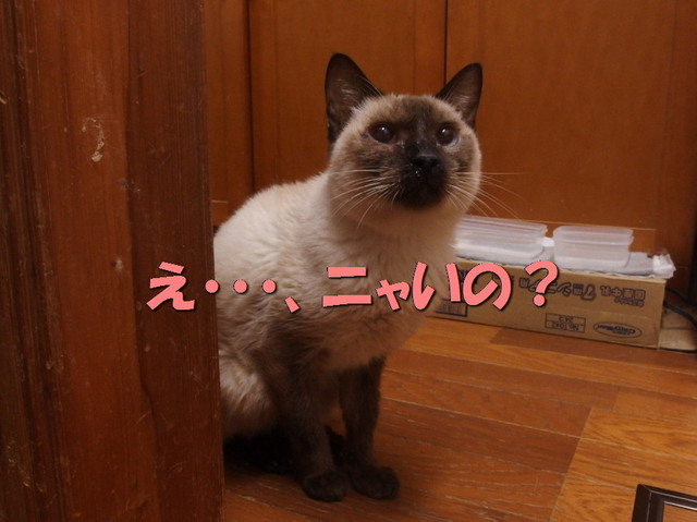 20151130milk04.jpg