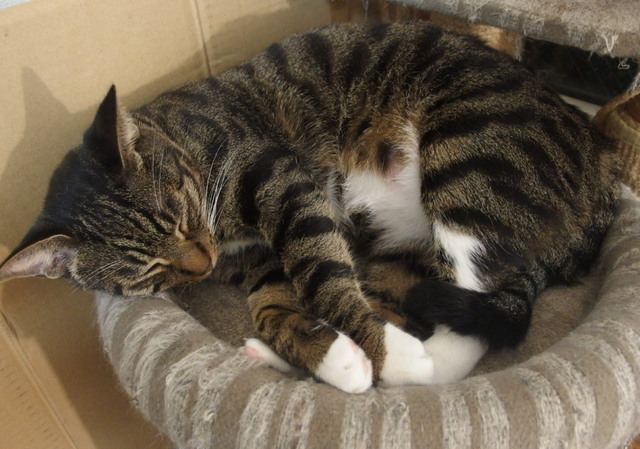 20151203kokoro02.jpg