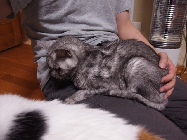 20151221silver02.jpg