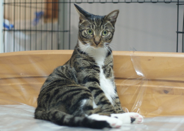 20151224kokoro01.jpg