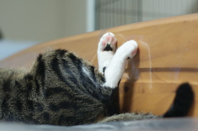 20151224kokoro02.jpg