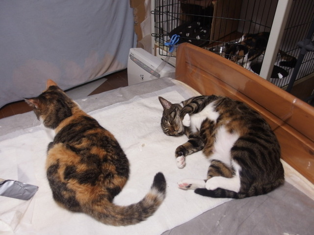 20160224home01.jpg