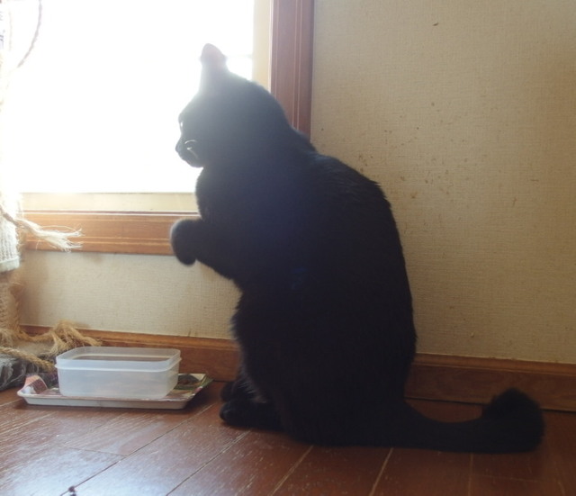 20160227kuu01.jpg