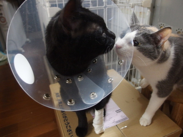 20160227kuu03.jpg