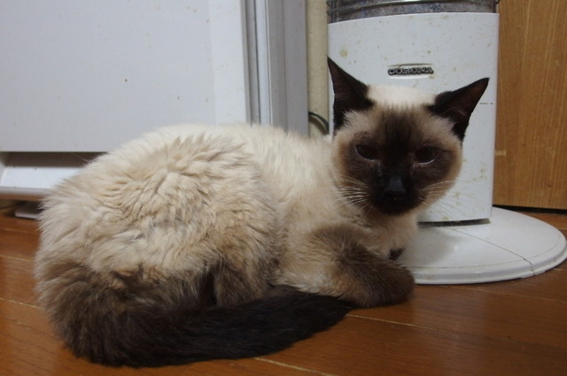20160227milk02.jpg