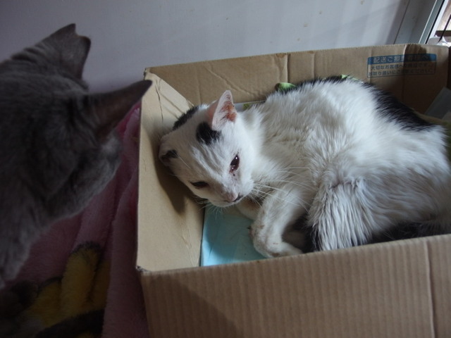 20160321tera02.jpg