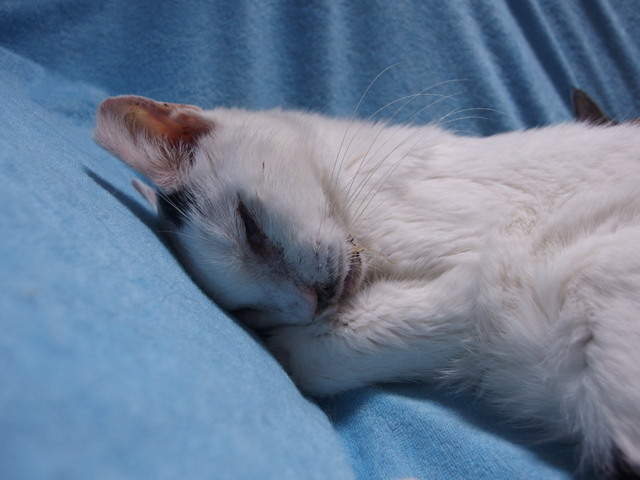 20160321tera04.jpg