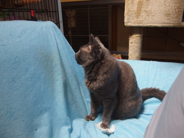 20160324ichi01.jpg