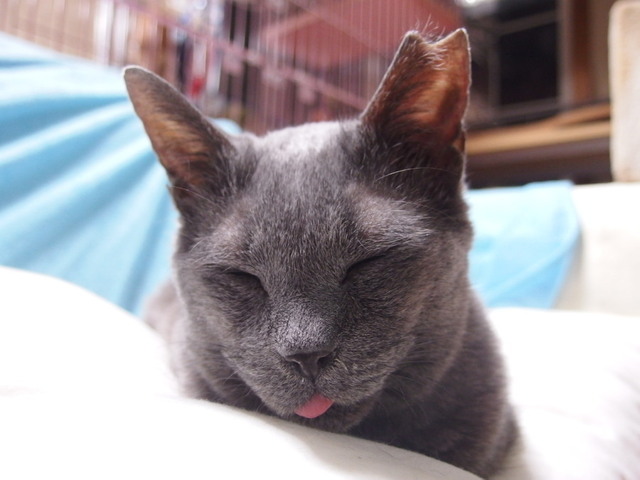 20160329ichi01.jpg
