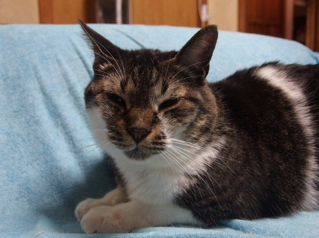 20160330muu01.jpg