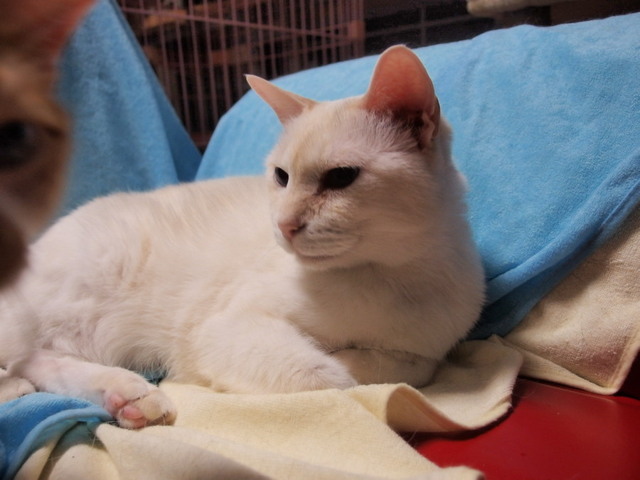 20160330yuki01.jpg