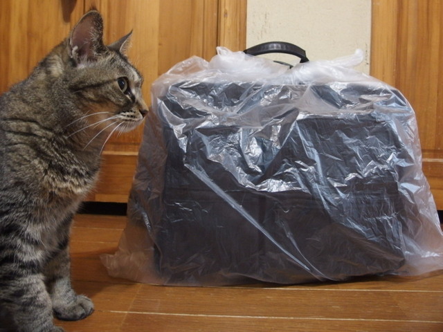 20160524home02.jpg