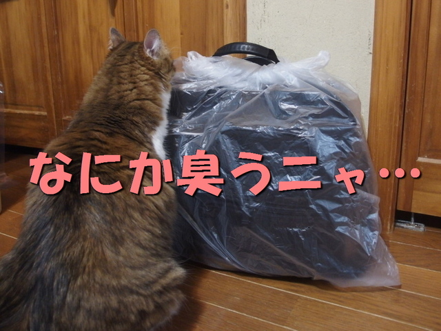 20160524home05.jpg
