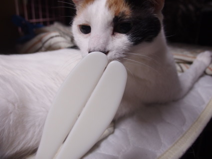 20160629home01.jpg