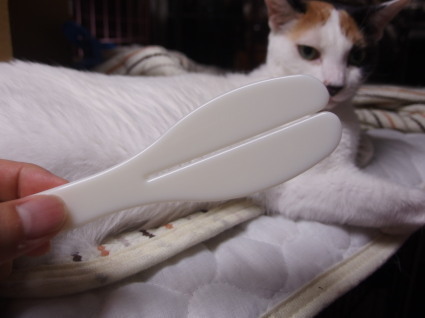 20160629home02.jpg