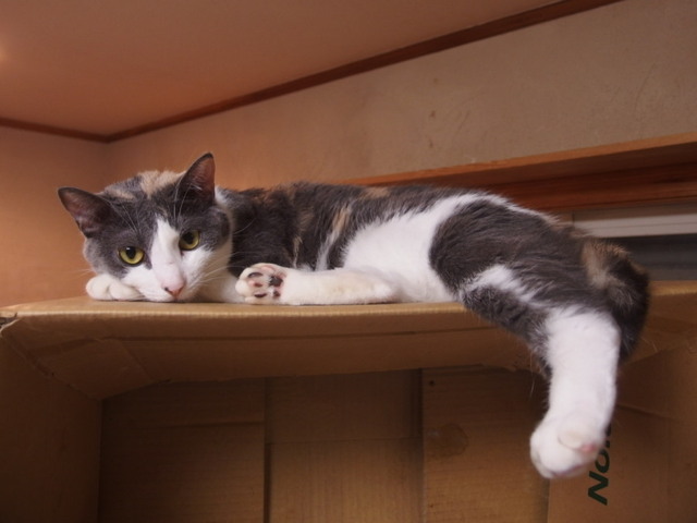 20160809nagi01.jpg