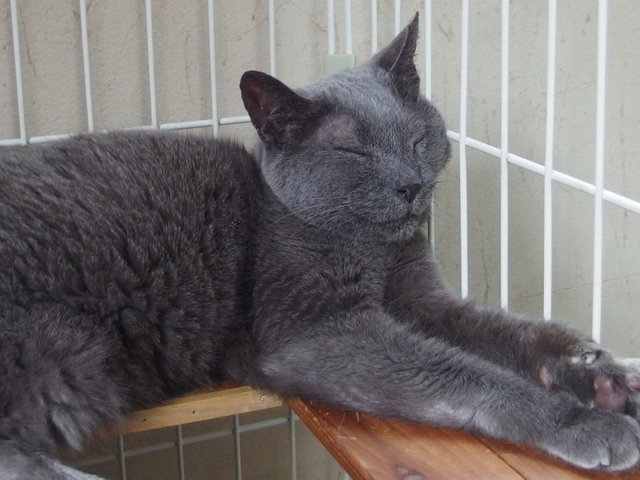 20160820ichi01.jpg