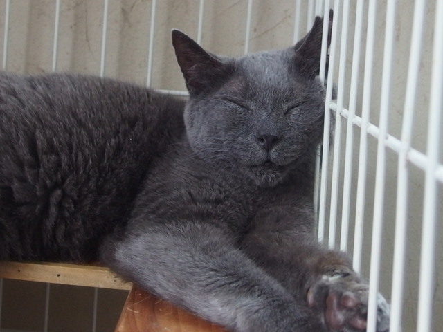 20160820ichi02.jpg