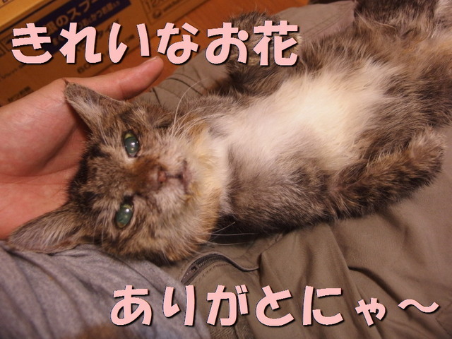 20160823ururu01.jpg