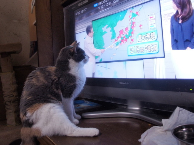 20160830nagi01.jpg