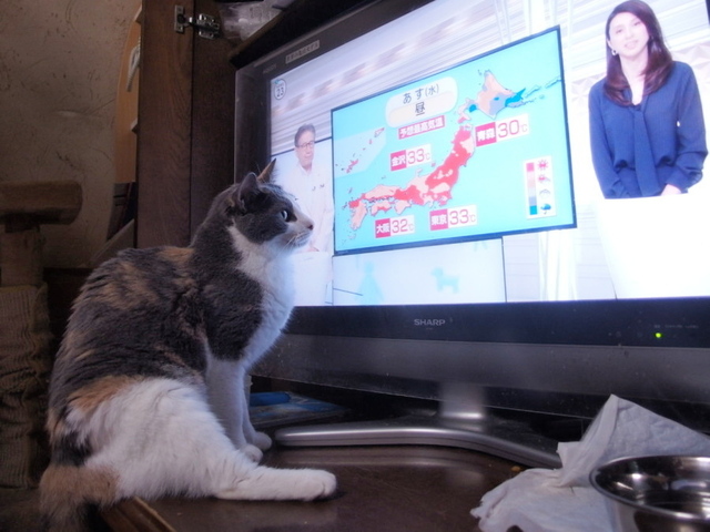 20160830nagi02.jpg