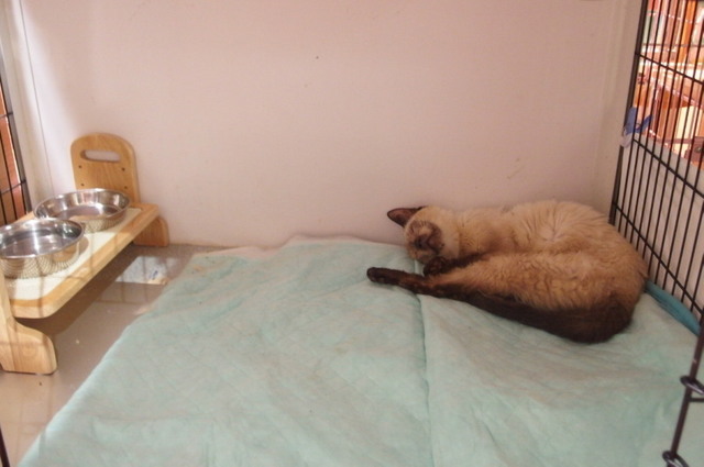 20160911milk01.jpg
