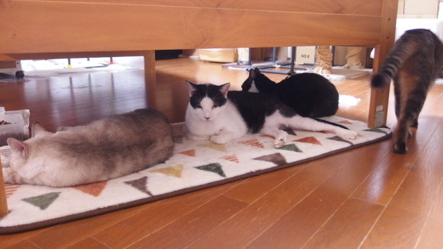 20161029home01.jpg
